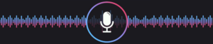 Ojo Yoshida Report Podcast