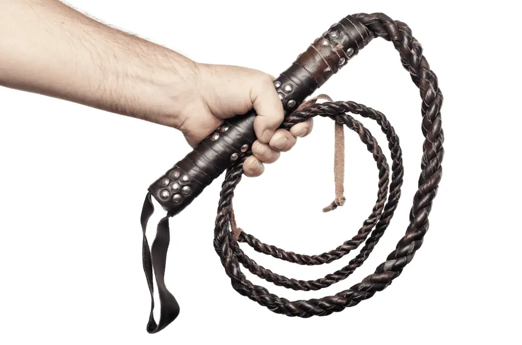 bullwhip effect on the chip market