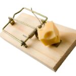 Mousetrap | TechSplicit
