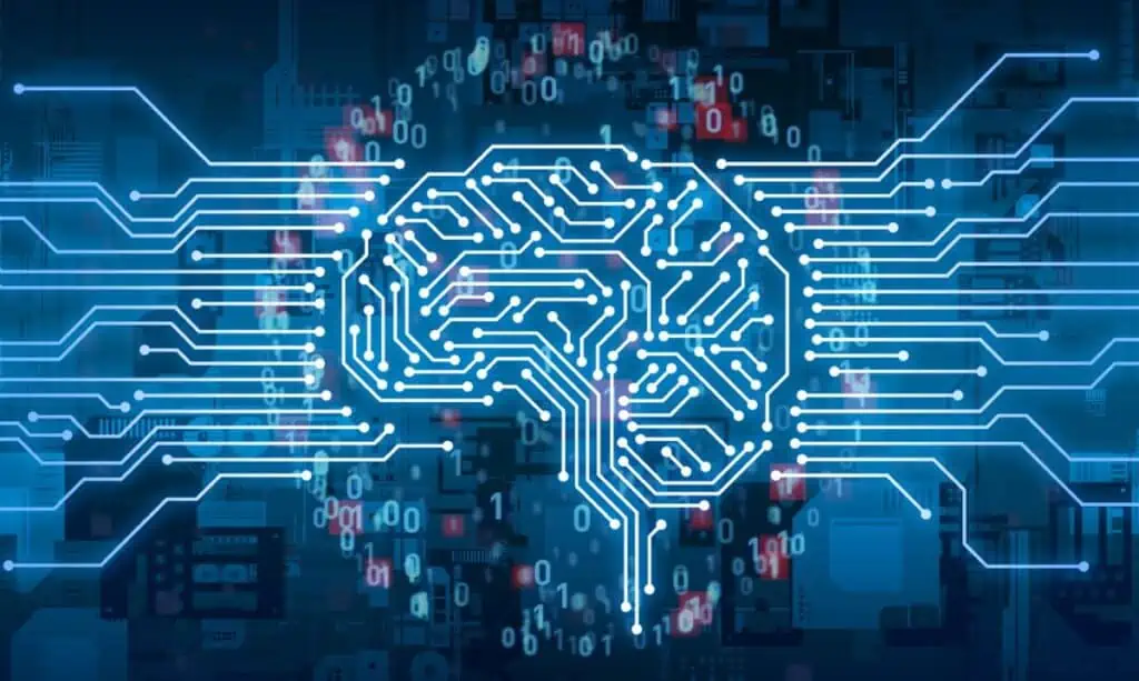Brain and neural networks