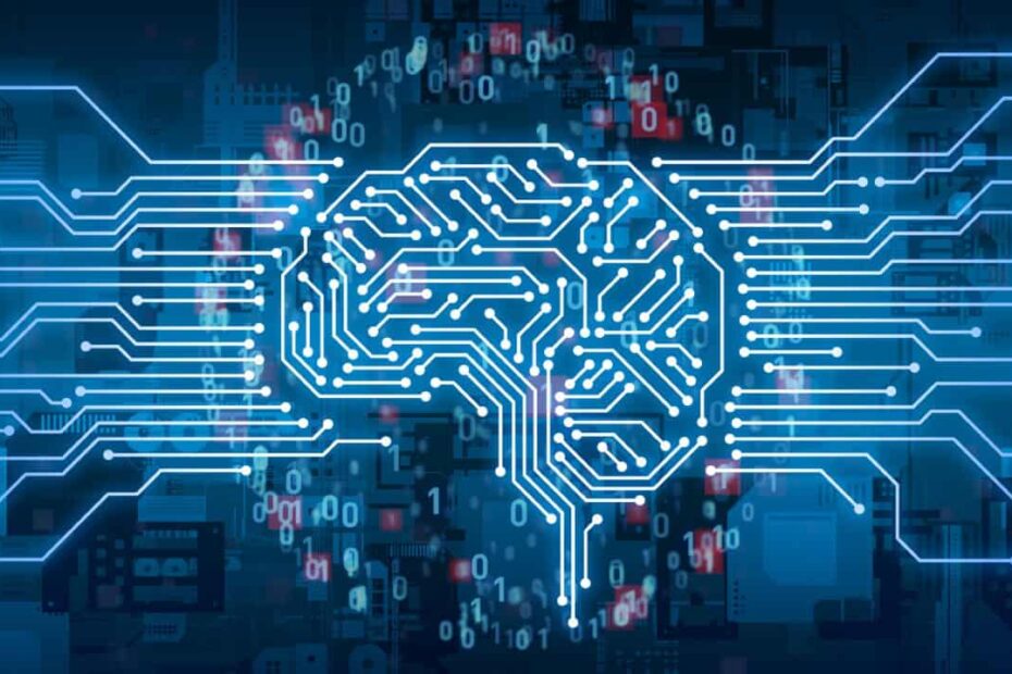 Brain and neural networks