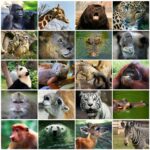 animals in the zoo | TechSplicit Who’s in the zoo: a brief taxonomy of AI systems