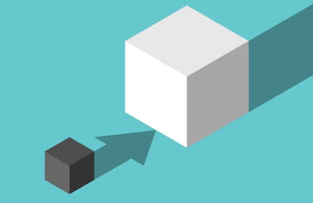 a small company is ro be merged with a bigger company