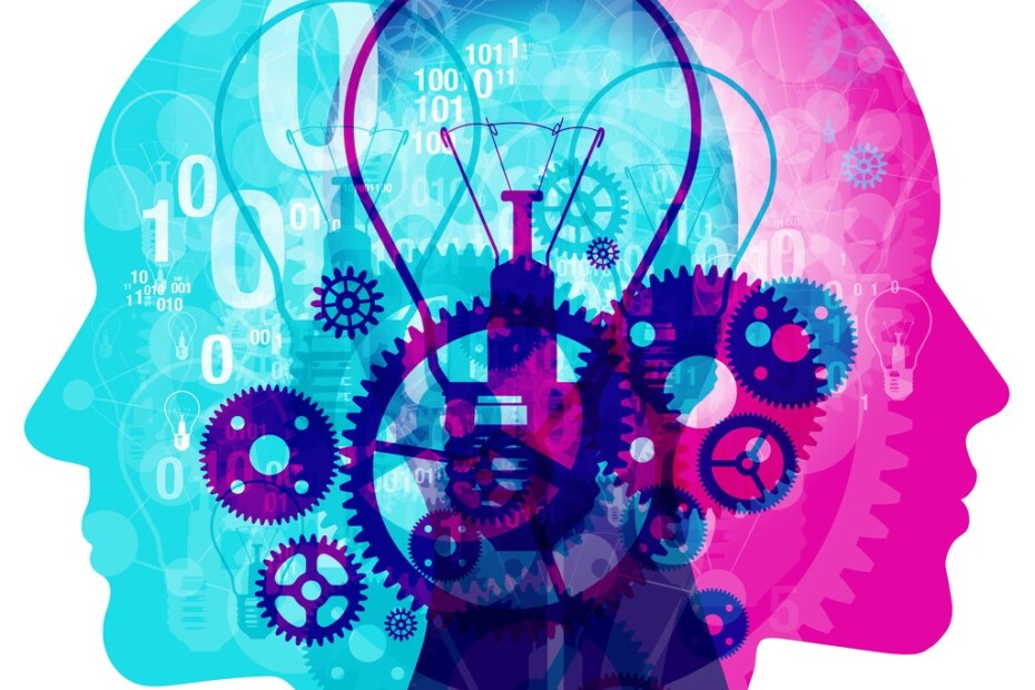 Neuroscientists vs. Data Scientists