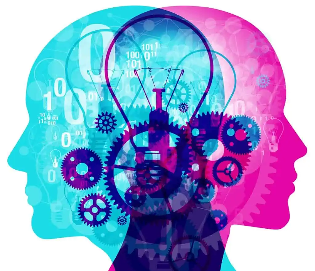 Neuroscientists vs. Data Scientists