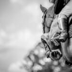 one horse | TechSplicit It’s the Chiplet Derby…Without Enough Horses