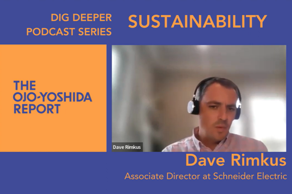 Schneider Electric Stakes a Claim to Sustainability Leadership