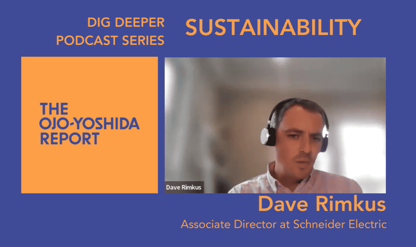 Schneider Electric Stakes a Claim to Sustainability Leadership ...