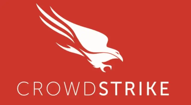 CrowdStrike’s Update Downfall: Who Dropped the Ball?