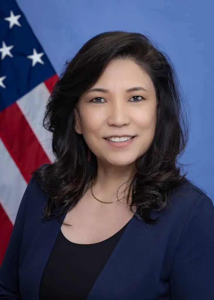 The Engineering of the CHIPS Act
