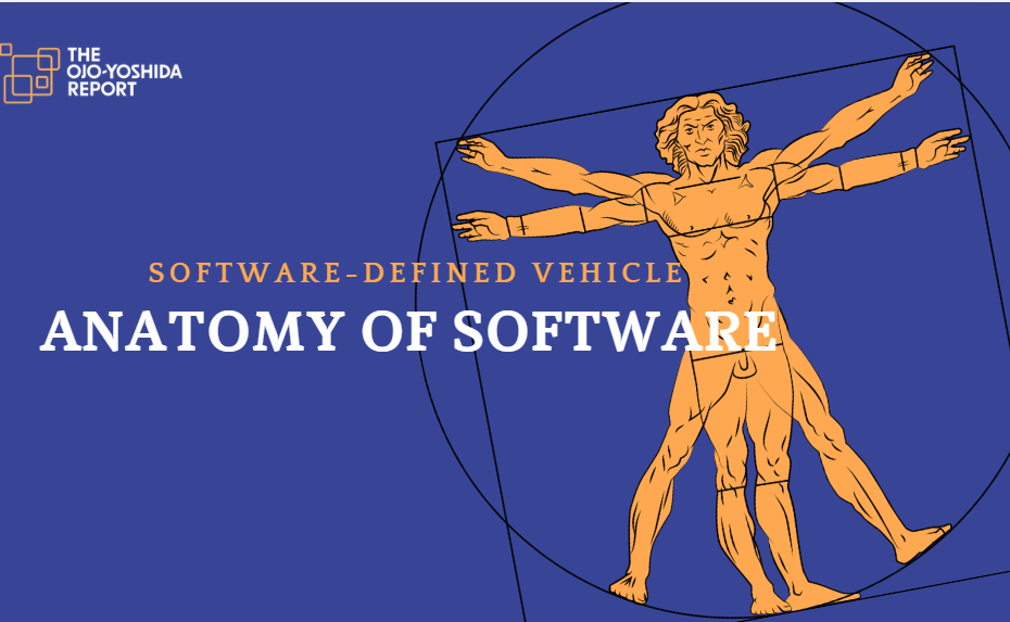 Anatomy of Software in Software-Defined Vehicles